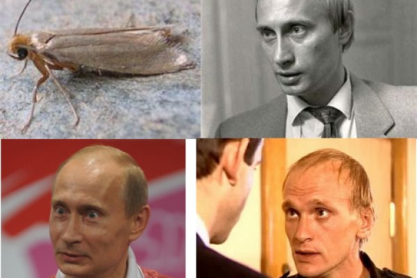Kraken darknet ссылка тор